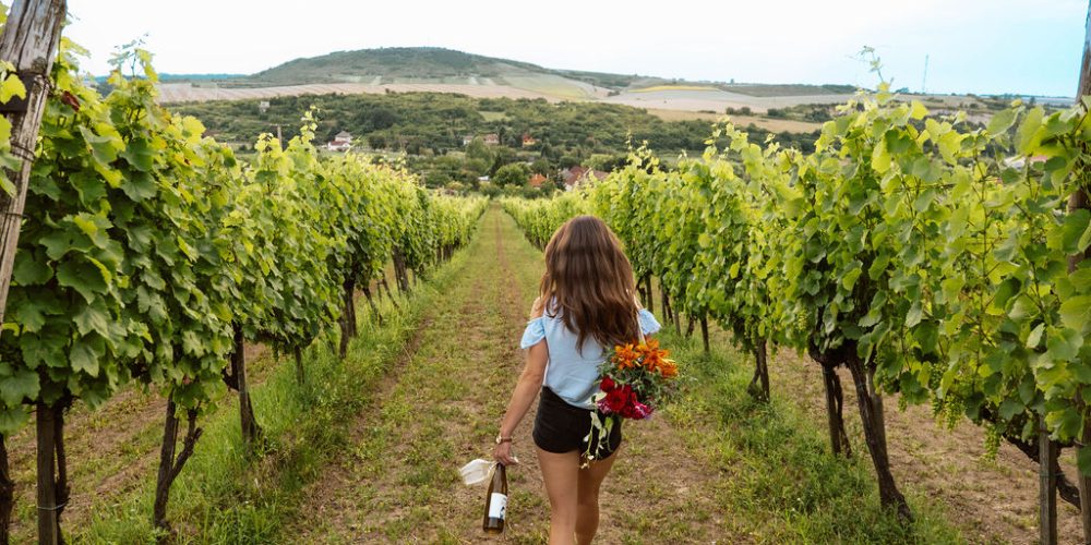 Wine-tasting-in-Tokaj-wine-region